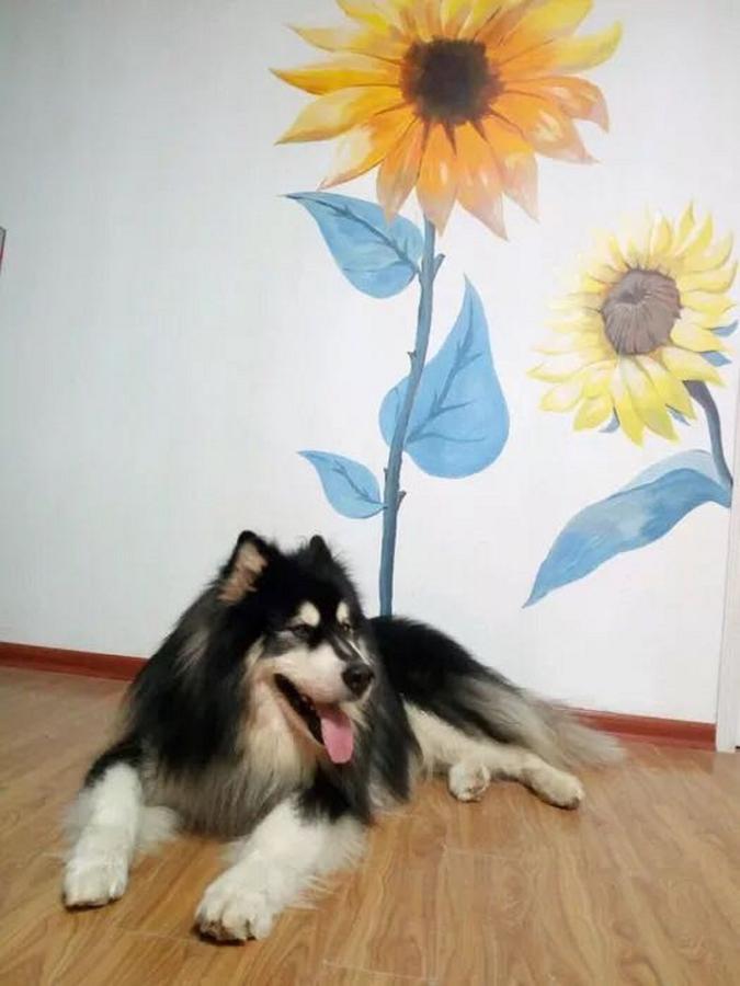 Flower House Girl Youth Hostel Trương Gia Giới Ngoại thất bức ảnh